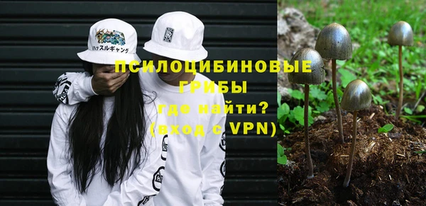 тгк Аркадак
