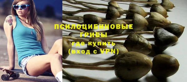 mdpv Арсеньев