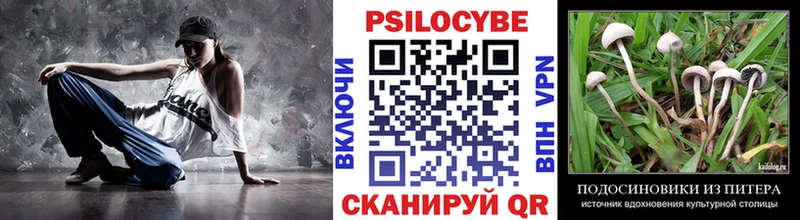 Галлюциногенные грибы Psilocybine cubensis  Лукоянов 